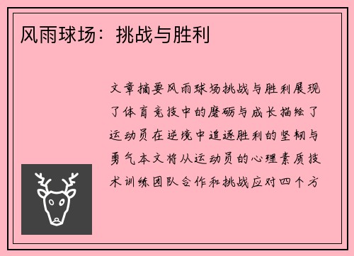风雨球场：挑战与胜利